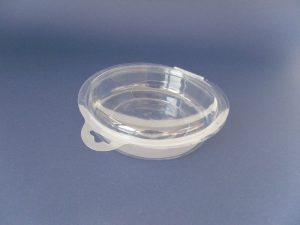 BLISTER BIVALVE Image